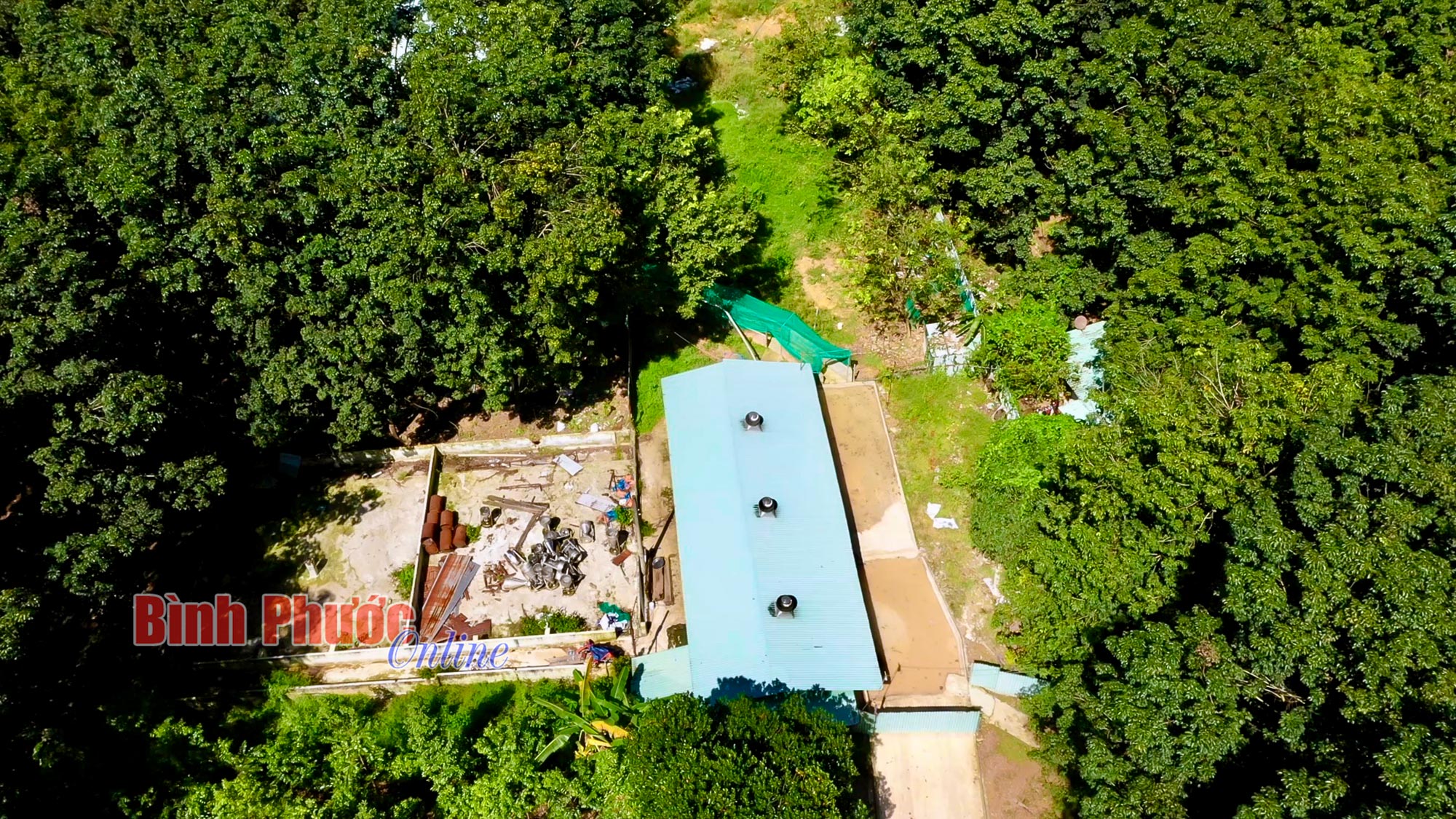 Trại heo ở Đồng Tâm tiếp tục gây ô nhiễm môi trường