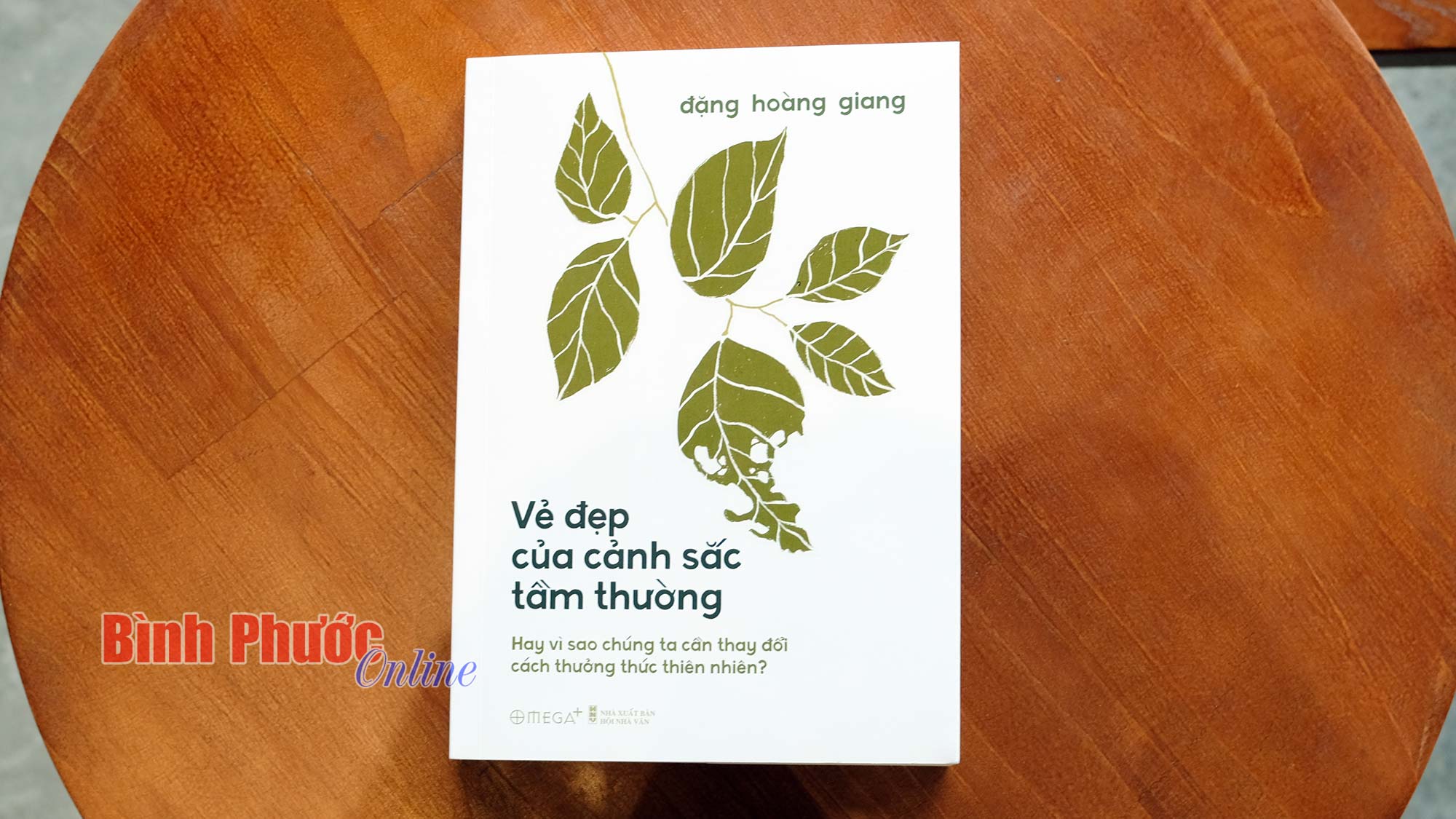 Vẻ đẹp của cảnh sắc tầm thường
