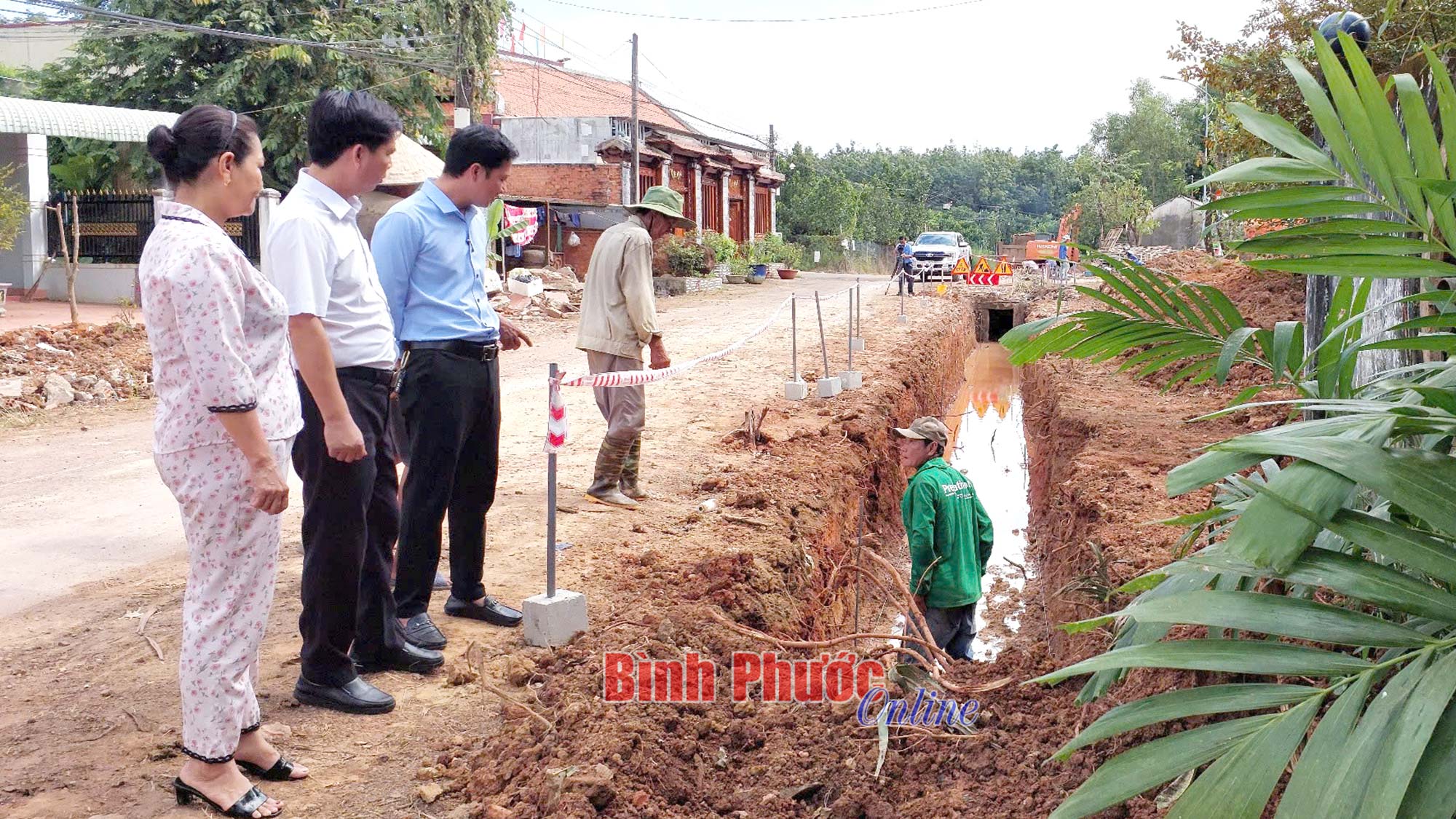 Vun gốc để tránh lụi cành