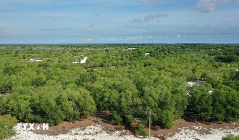 Xây dựng phương án quản lý hạn ngạch phát thải và tín chỉ carbon tại Việt Nam