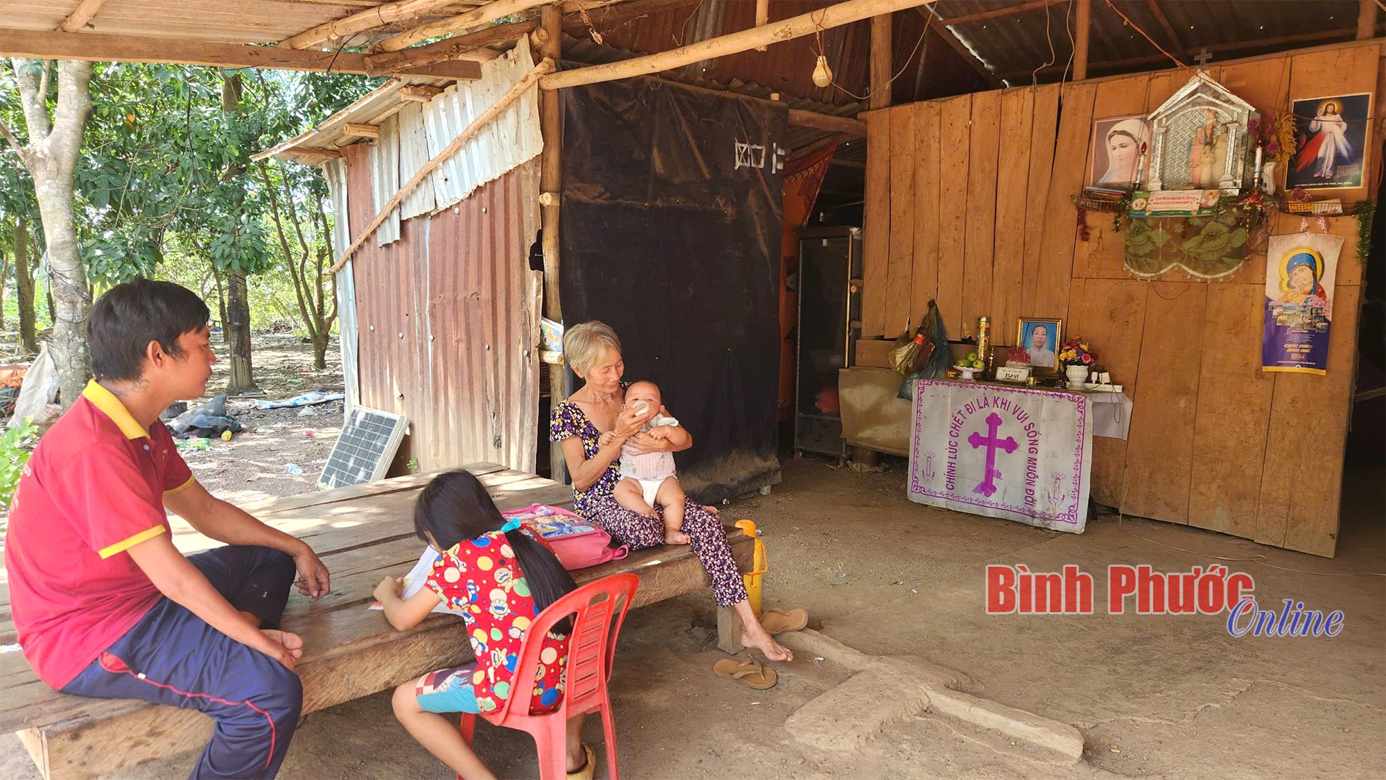 Xót xa cảnh “gà trống nuôi con”