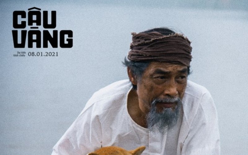 Lão Hạc và "cậu Vàng": Áp lực từ sức nặng của tác phẩm kinh điển