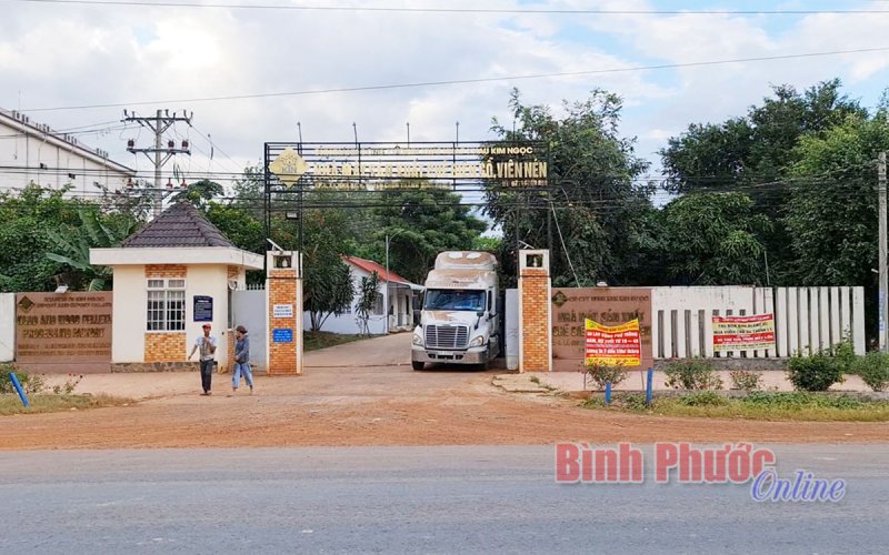 Ô nhiễm khói, bụi từ công ty chế biến gỗ