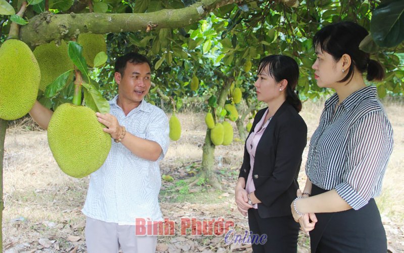 Tạo động lực để phát triển kinh tế tập thể