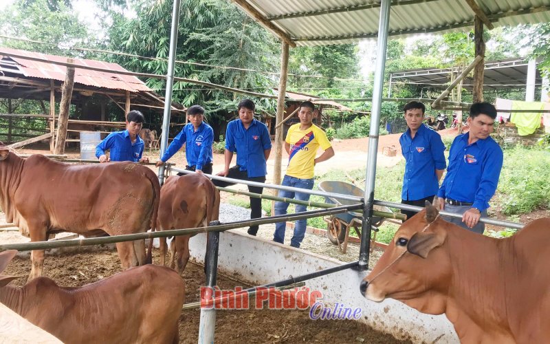Tuổi trẻ Long Bình xung kích xây dựng nông thôn mới