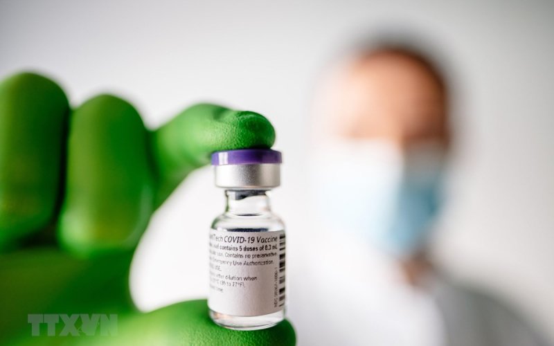 WHO đ&agrave;m ph&aacute;n với Pfizer để sớm ph&acirc;n phối vắcxin COVID-19 tr&ecirc;n to&agrave;n cầu