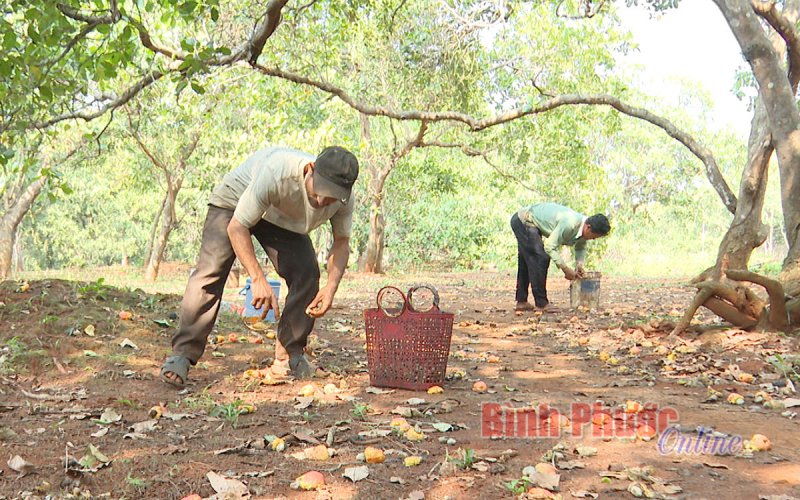 Cầm cố đất, vay nặng lãi vùng DTTS - Bài cuối