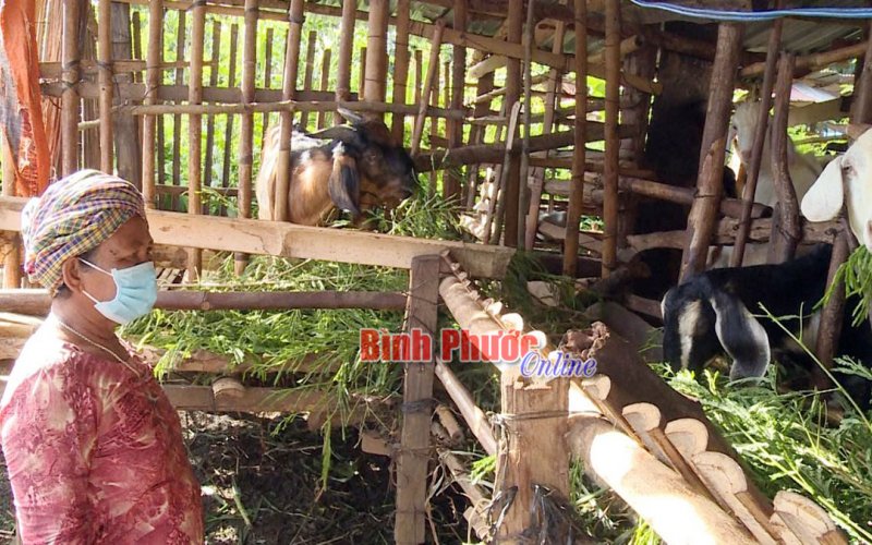 Đồng hành với phụ nữ biên cương