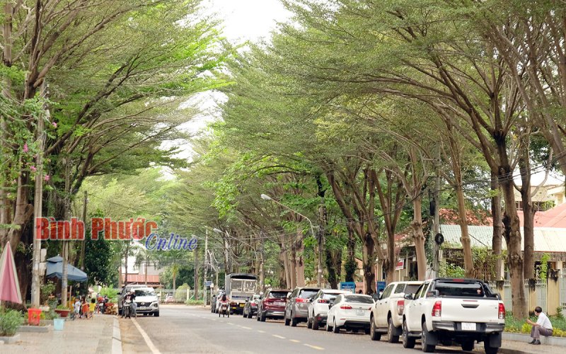 Hơn 14.000 người tham gia tuần 4 Cuộc thi “Bình Phước 25 năm khát vọng vươn lên”