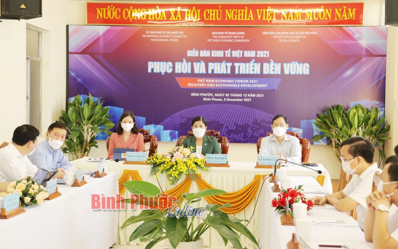 Khai mạc Diễn đàn kinh tế Việt Nam 2021: Phục hồi và phát triển bền vững