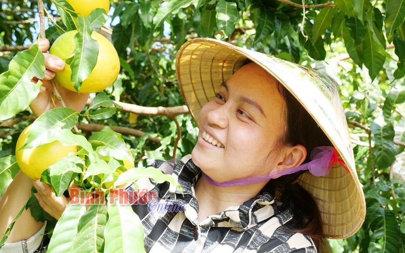 Khởi sắc nông nghiệp Bình Phước