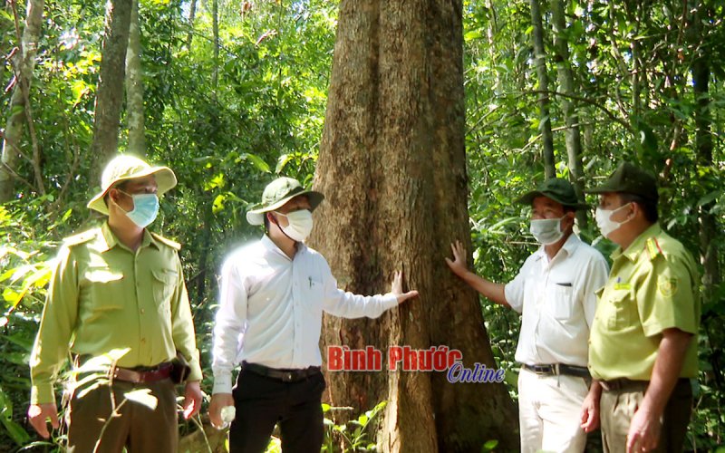 “Người” gánh hai vai tròn trách nhiệm