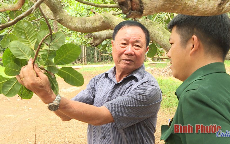 Người lính “cũ” trên trận tuyến mới