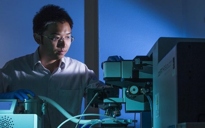 Nhà khoa học trẻ Việt Nam tại Australia nhận giải thưởng Quả cầu vàng