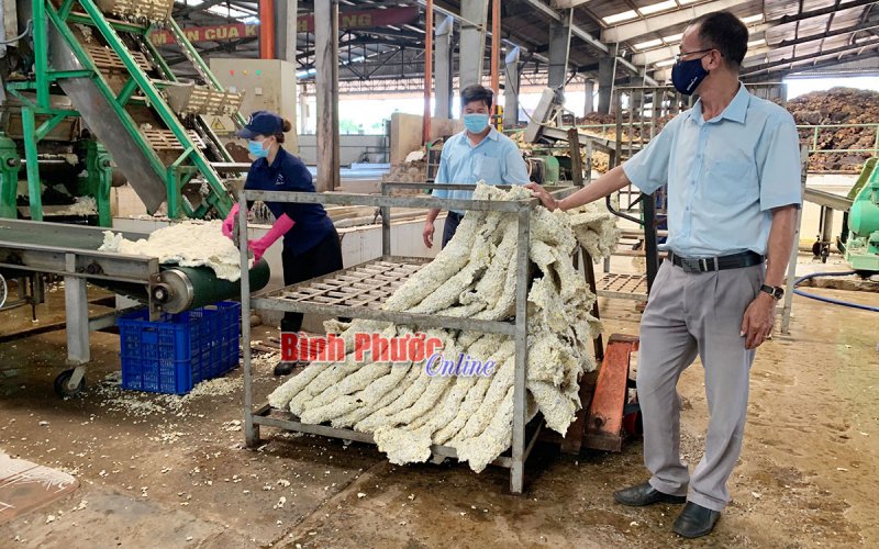 Những sáng kiến trong chế biến, bảo quản mủ cao su