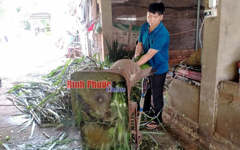 Th&agrave;nh c&ocirc;ng kh&ocirc;ng đợi tuổi