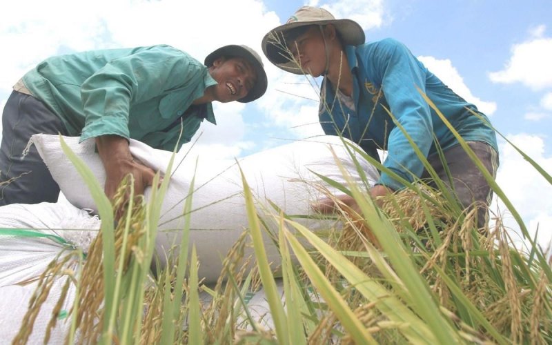 Thành tựu về quyền con người ở Việt Nam: Hành trình không ngừng nghỉ