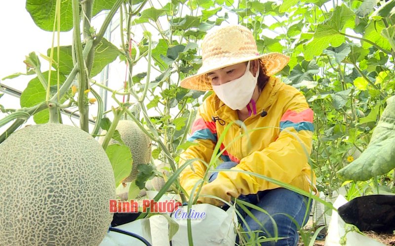 Tiến Hưng khẳng định hiệu quả mô hình “nhất thể hóa” 