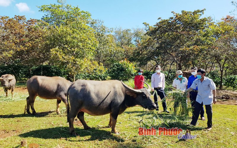 Trao “cần” để đồng bào “câu”