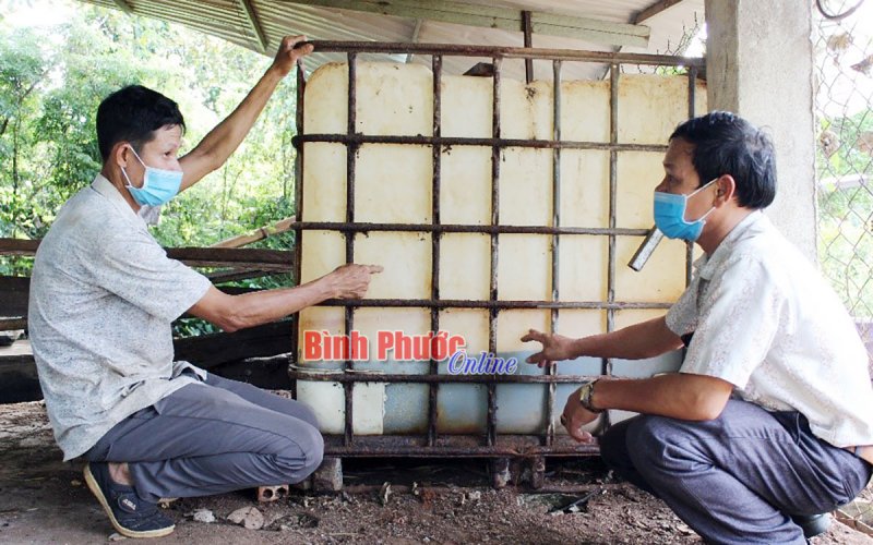 Tỷ phú Hoàng Sơn Đông với bí quyết trồng điều giỏi 