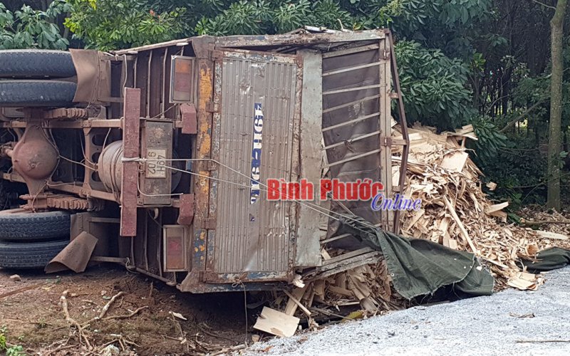 Xe tải mất lái tông vào vườn cao su