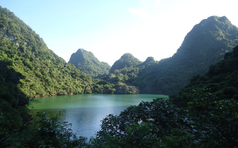 Bảo tồn, ph&aacute;t huy gi&aacute; trị Vườn quốc gia B&aacute;i Tử Long