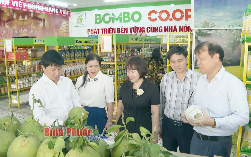 Bình Phước cần xây dựng sản phẩm thương hiệu tập thể của tỉnh