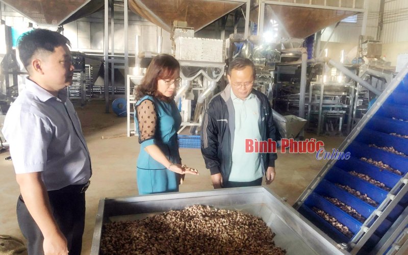 Bình Phước: Nghiệm thu đề án khuyến công quốc gia điểm năm 2022