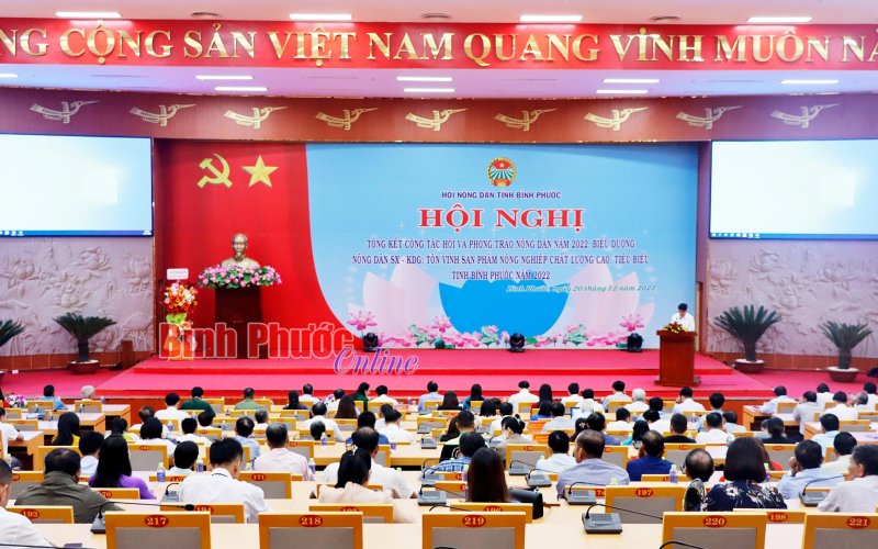 Đẩy mạnh tự lực, tự cường trong sản xuất và tiêu thụ sản phẩm cho nông dân