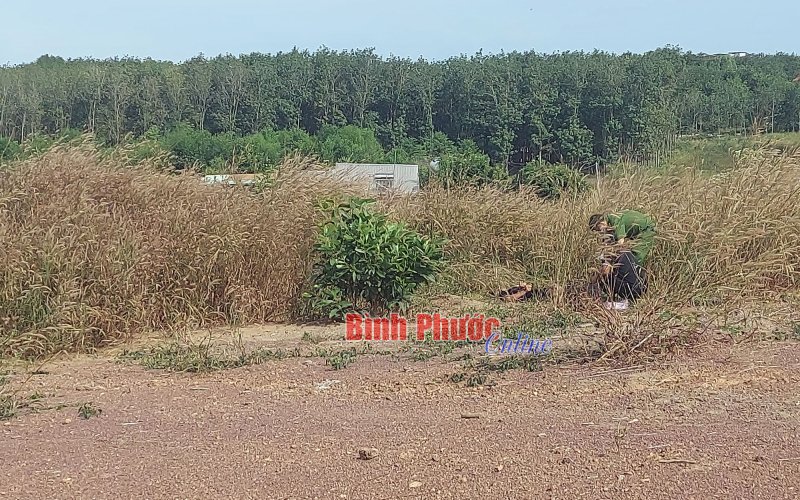 Đồng Xoài: Phát hiện thi thể người đàn ông trên bãi đất trống