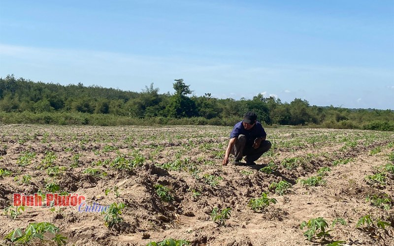 Dự án mỏ đá vôi ở Hớn Quản: Người dân mỏi mòn chờ đền bù