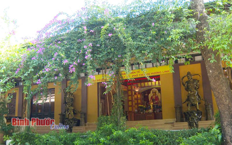 Không gian xanh ở Vạn Quang tự