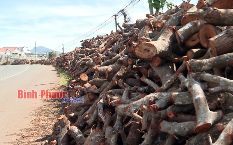 Lòng, lề đường thành nơi chứa củi