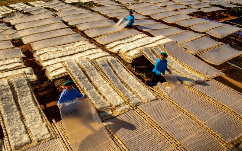 M&ugrave;a phơi miến