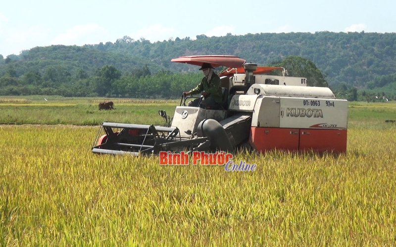 Nền tảng của Nghị quyết 19-NQ/TW