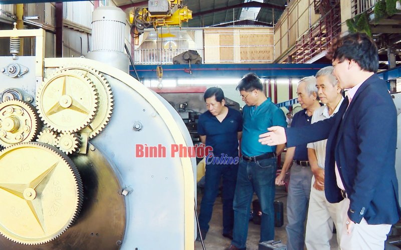 Ngành điều thúc đẩy công nghệ phụ trợ phát triển