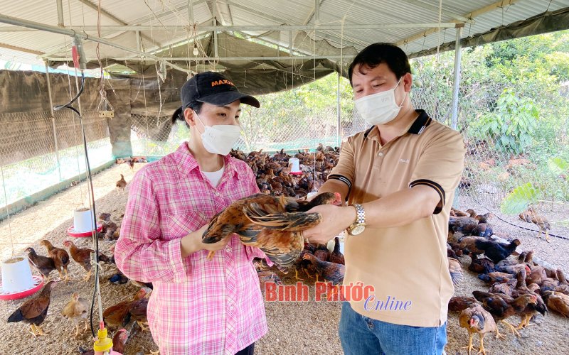 Nhà nông tất bật chuẩn bị hàng tết