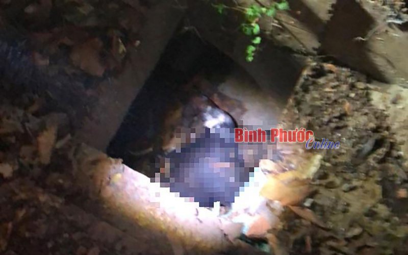 Phát hiện thi thể người đàn ông mắc kẹt dưới cống