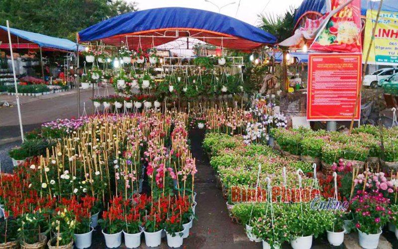 Thông báo kế hoạch tổ chức Hội chợ Hoa Xuân Quý Mão thành phố Đồng Xoài lần thứ XIX năm 2023