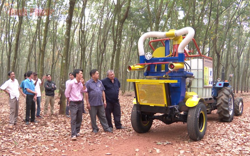 Thúc đẩy hoạt động bảo hộ quyền sở hữu trí tuệ