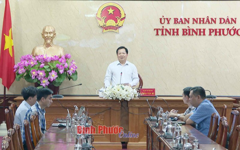 Tìm hướng đi mới cho ngành điều Việt Nam đối với khu vực châu Phi