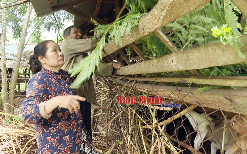 Tuổi cao ch&iacute; c&agrave;ng cao