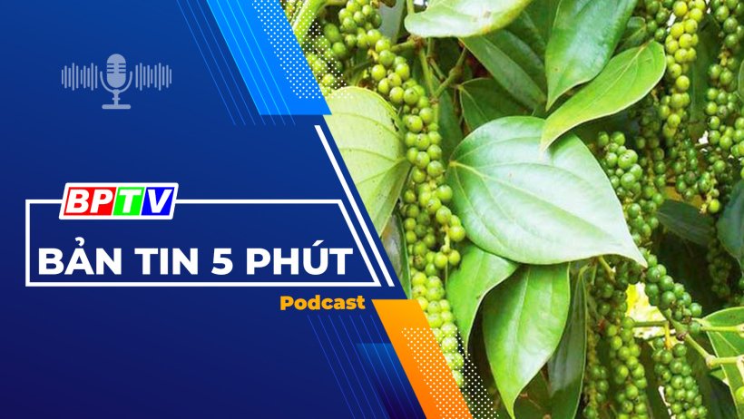 5 phút tối nay 25-12-2023 