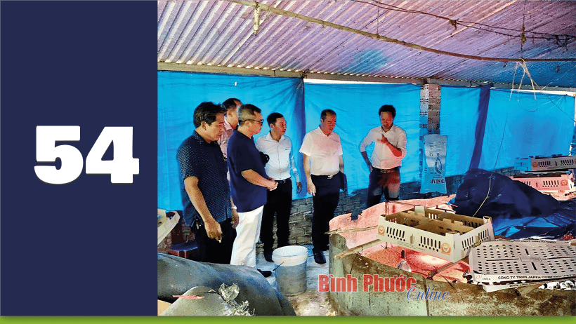 Bình Phước có 54 hợp tác xã do người đồng bào dân tộc thiểu số tham gia quản lý, điều hành