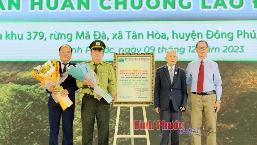 Bình Phước vinh danh quần thể 162 cây di sản Việt Nam