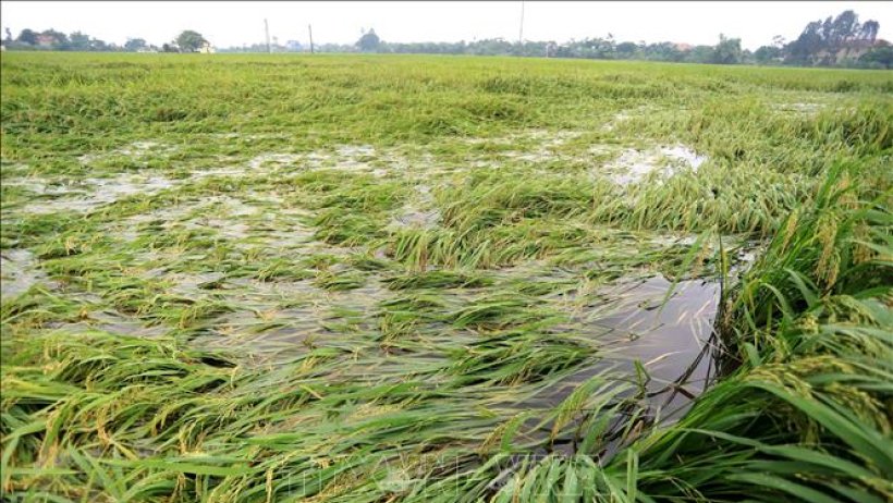 Chủ động ứng phó với thiên tai trong bối cảnh biến đổi khí hậu