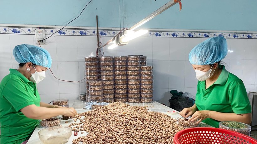 Doanh nghiệp vượt khó, tìm lối đi riêng