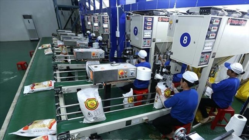 Giá gạo Việt Nam tăng lên mức cao nhất trong hơn 15 năm