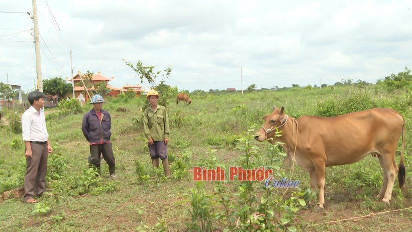 Giúp nhau phát triển kinh tế