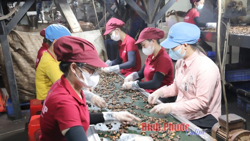 Hàng ngàn người lao động được hỗ trợ phương tiện về quê đón tết